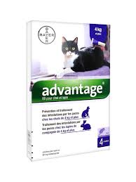 Advantage 80 chat/lapin (4-10Kg)