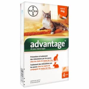 Advantage 40 chat/lapin (0-4Kg)