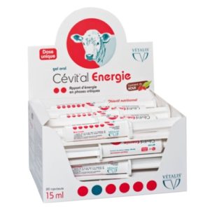 Cetival energie gel oral pour bovins