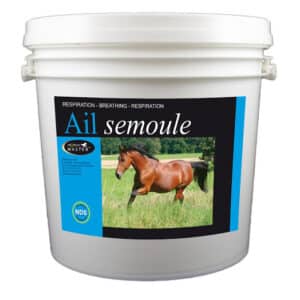 AIL SEMOULE par horse master (chevaux)