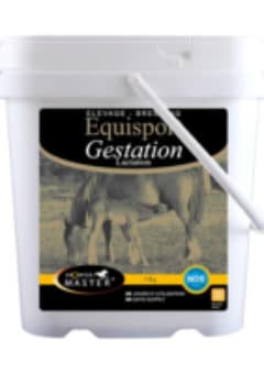 EQUISPORT GESTATION por jument