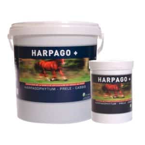 HARPAGO + pour les chevaux en bidon