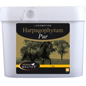 HARPAGOPHYTUM PUR en bidon pour les chevaux