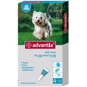 ADVANTIX CHIEN 1 ML (4-10 kg) puces moustiques tiques