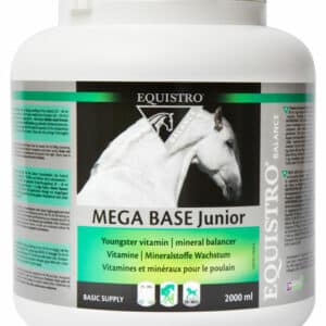 EQUISTRO MEGABASE JUNIOR jeune cheval