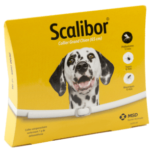 SCALIBOR COLLIER GRAND CHIEN 65 cm