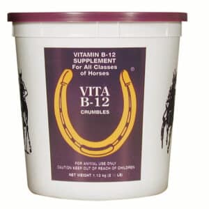 VITAMINE B12 pour les chevaux