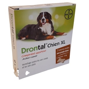 drontal chien xl