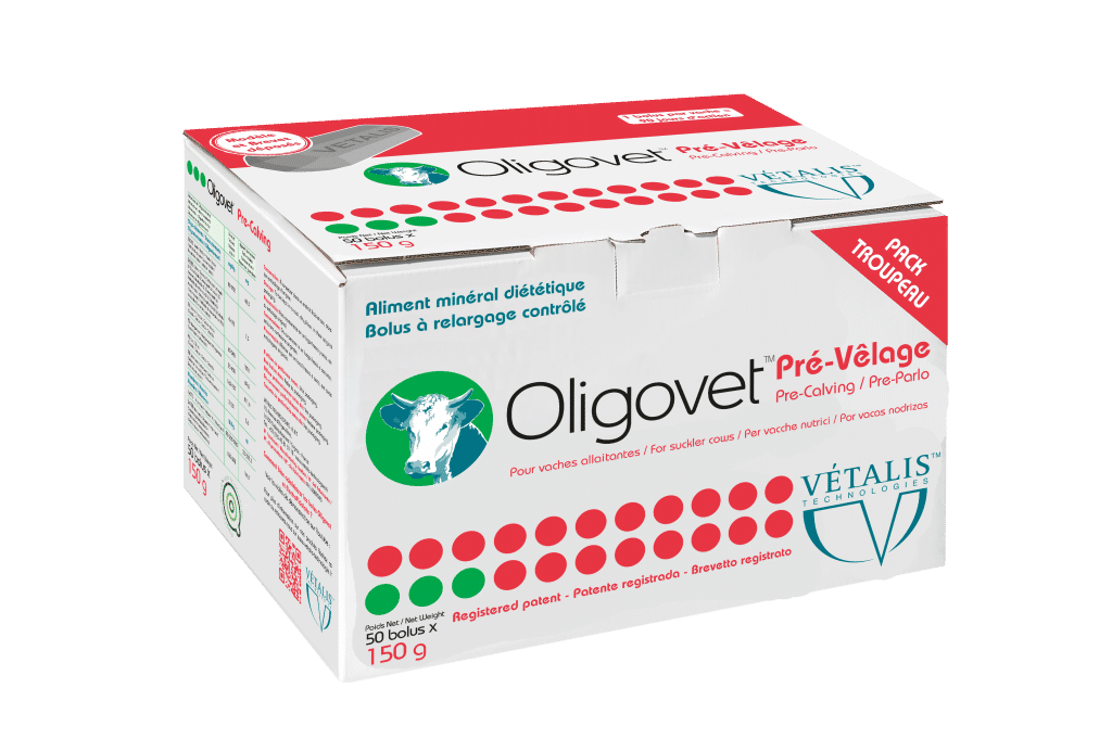 oligovet pre velage bolus vache