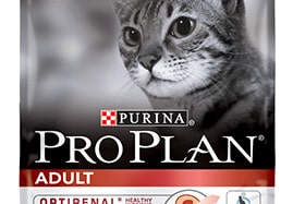Digestion du chat