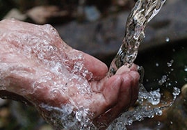 Hygiène de l'eau Alcanet®, Hydrosept®, Procolore® - Elevage de volailles