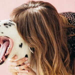 Croquettes thérapeutiques pour chien