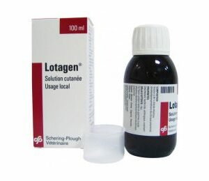 lotagen flacon 100ml