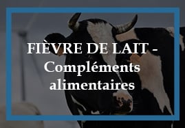 Compléments alimentaires bovin pour la fièvre de lait (Hypocalcémie)