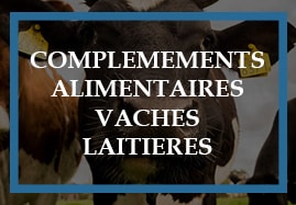Compléments alimentaires Vache laitière