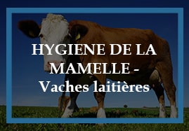 Médicaments vétérinaires Hygiène de la mamelle de la vache