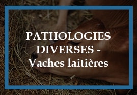 Produits vétérinaires pour pathologies diverses de la vache