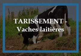 Produits et médicaments lors du Tarissement de la vache laitière