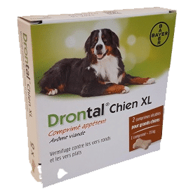 Drontal vermifuge grand chien