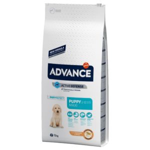 Croquettes Advance Maxi Puppy Protect pour chiots