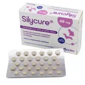 Silycure 40 mg Soutien de la Fonction Hépatique pour Chat et Petit Chien