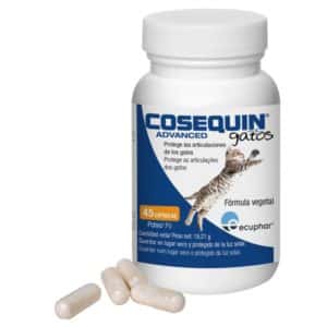 COSEQUIN CHAT 45 GELULES pour soutenir le cartilage articulaire du chat