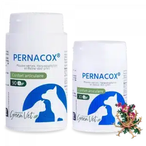 Green Vet Pernacox : Soutien Articulaire pour Chiens et Chats