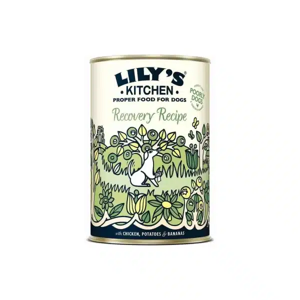 Lily's Kitchen Recovery Recipe - Pâtée pour chien 400g